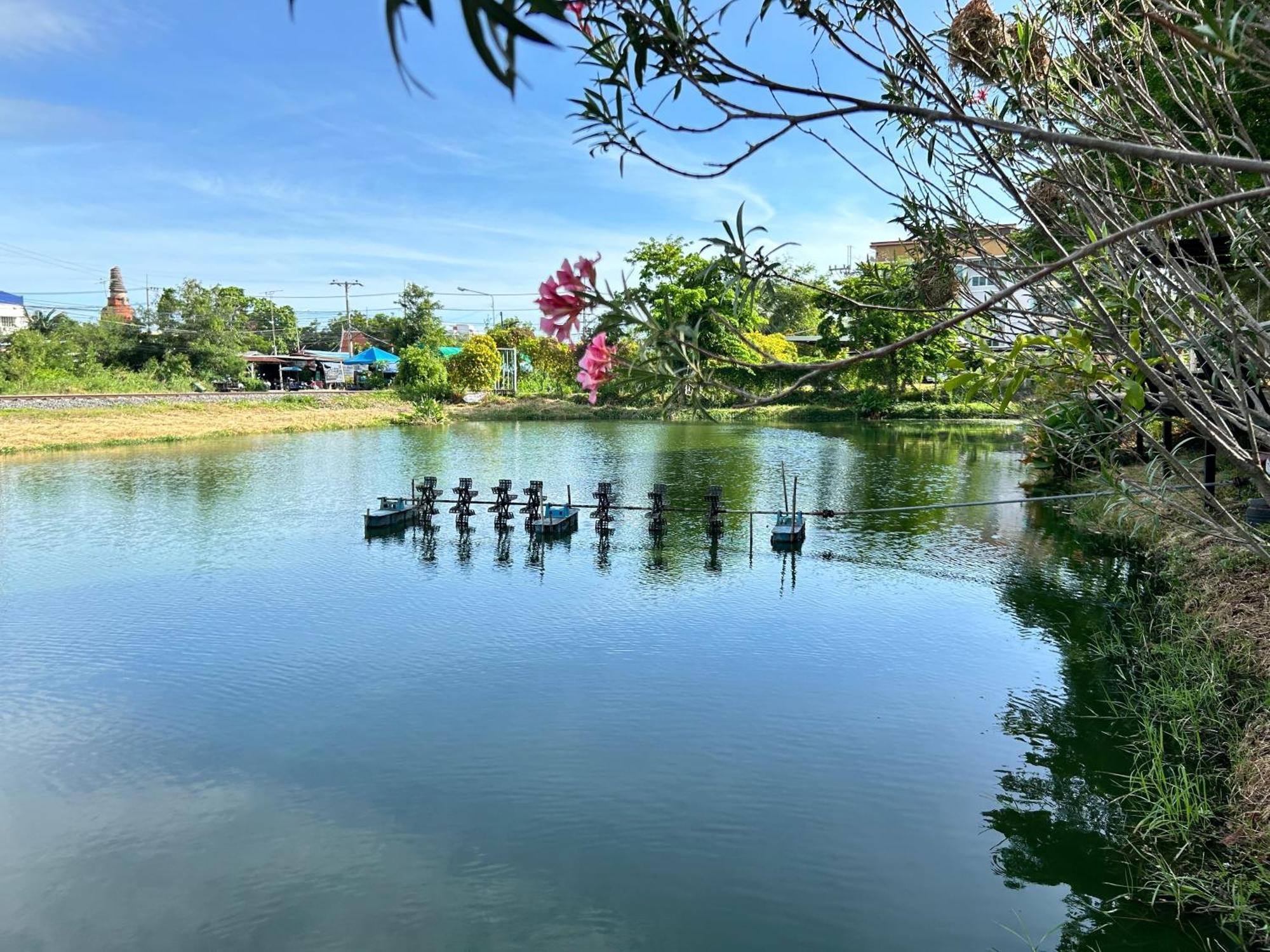 Dd Boutique Resort Ban Wat Pa Εξωτερικό φωτογραφία